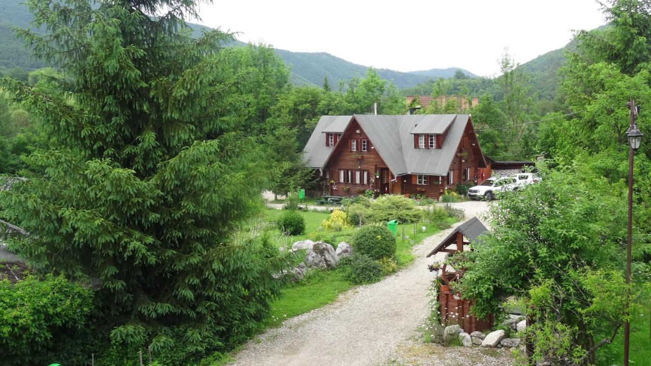 Casa Edelweiss - Gyopar - Flore De Colt Rimetea Eksteriør billede